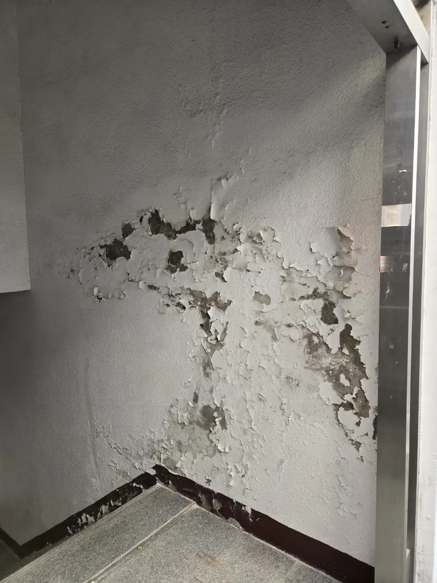 페인트 박리 벽면 보수 도장 전 건물 출입구 안쪽 벽 이전